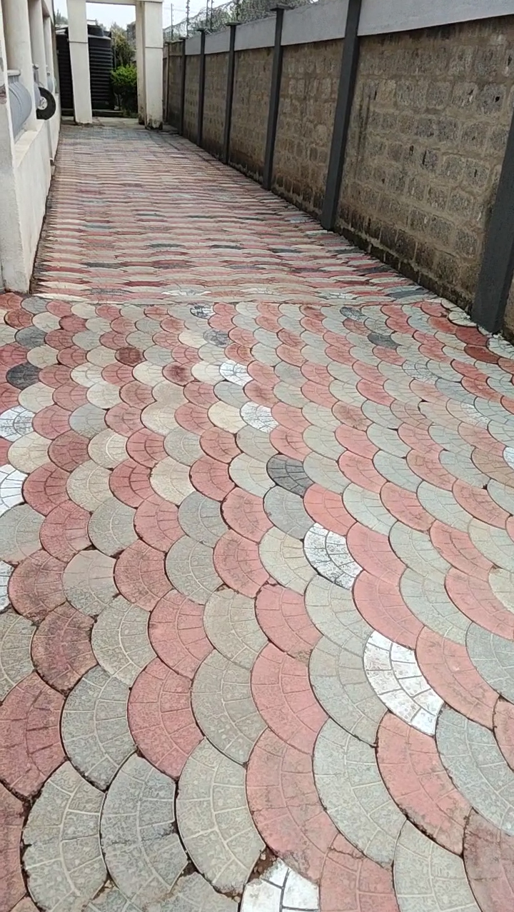 Commercial Cleaning & Cabro Scrubbing in Industrial Area Nairobi