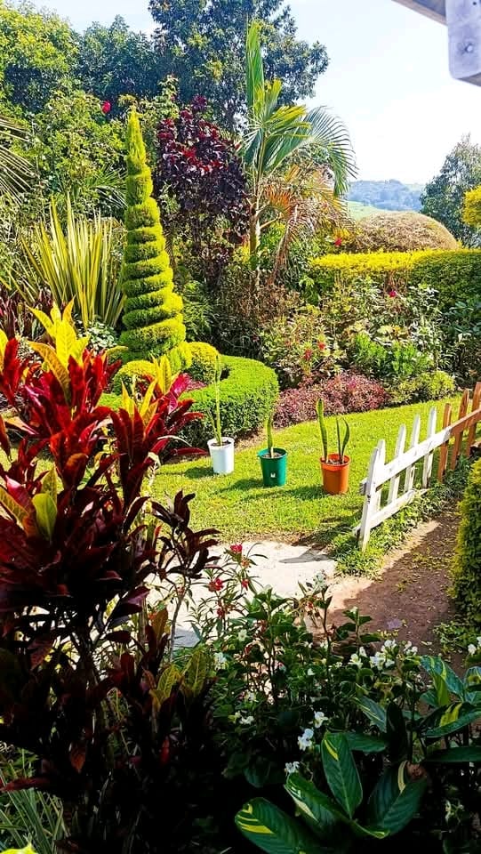 Professional Landscaping & Garden Maintenance Services in Tilisi