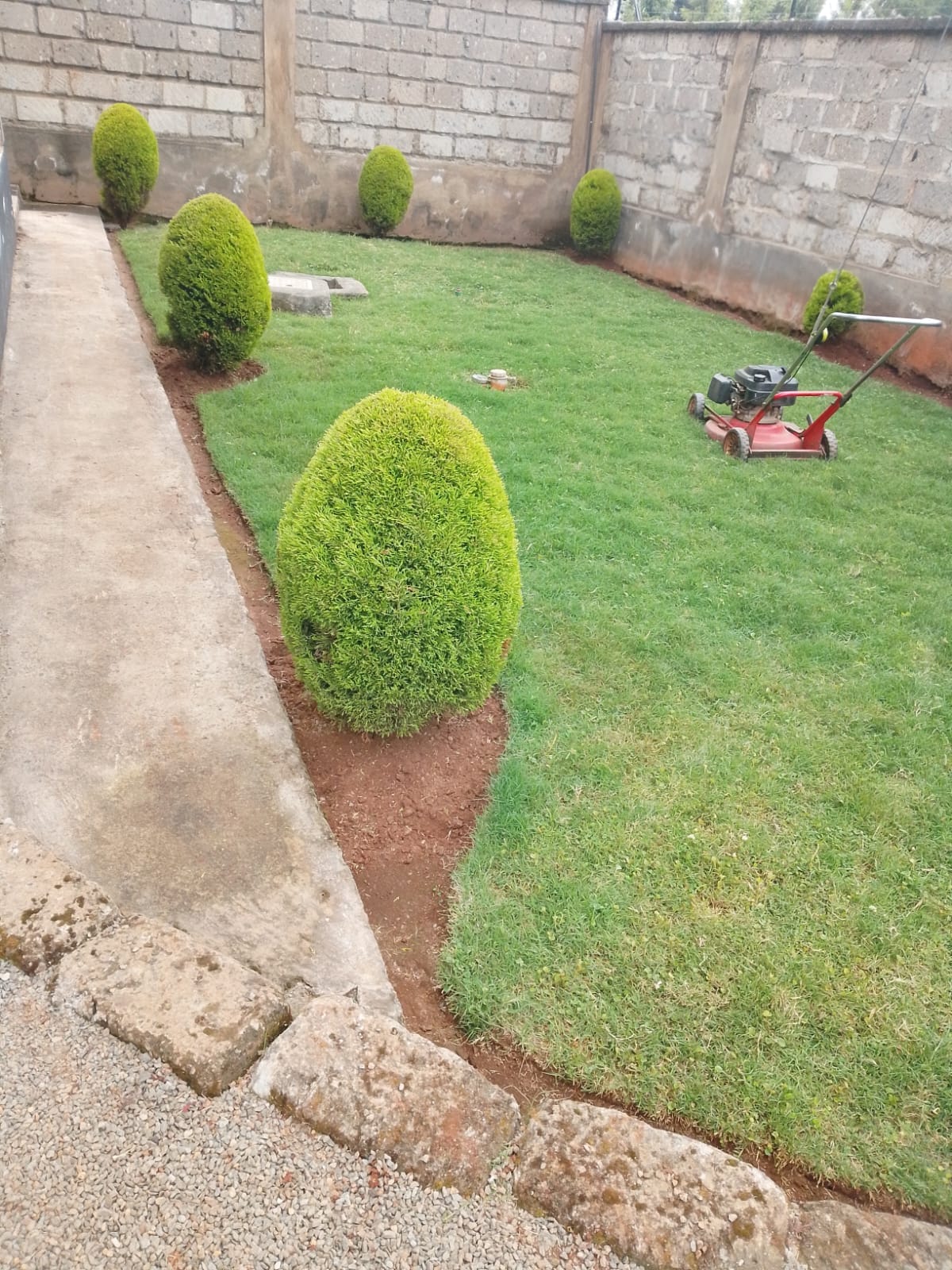Professional Gardening Services in Hurlingham | Garden Care Experts