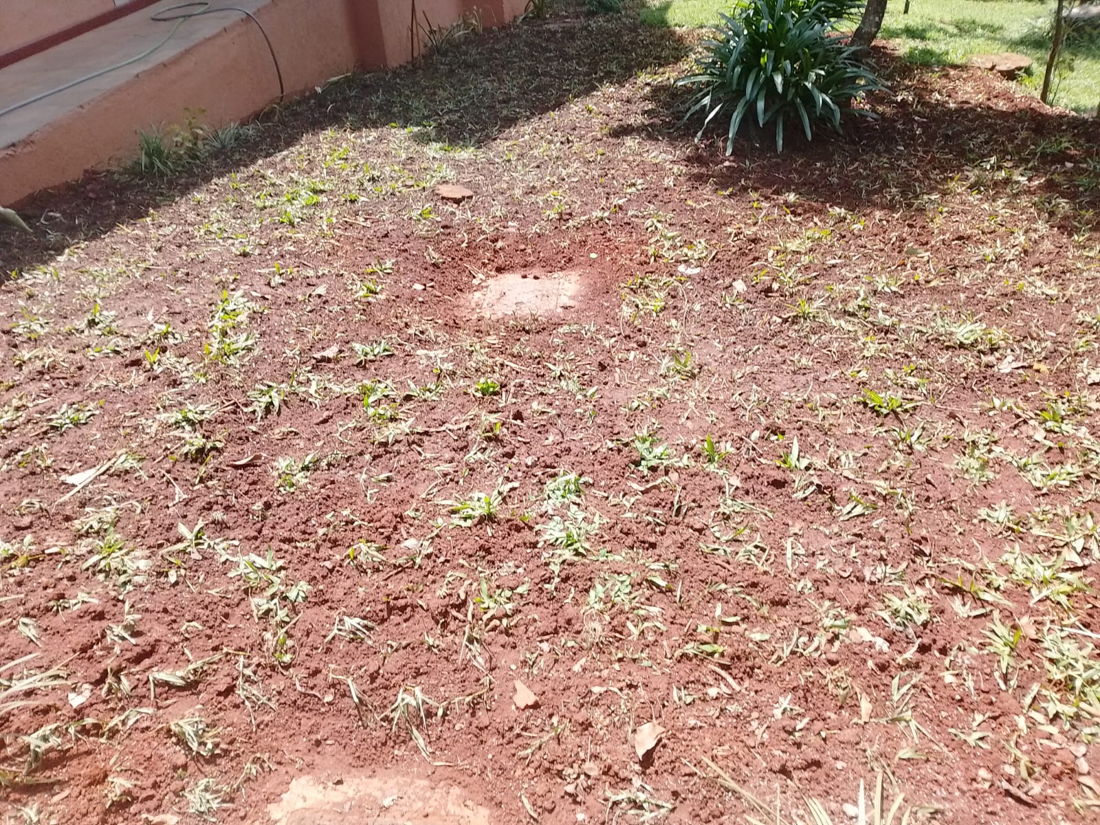 Professional Landscaping & Garden Maintenance Services in Ngecha