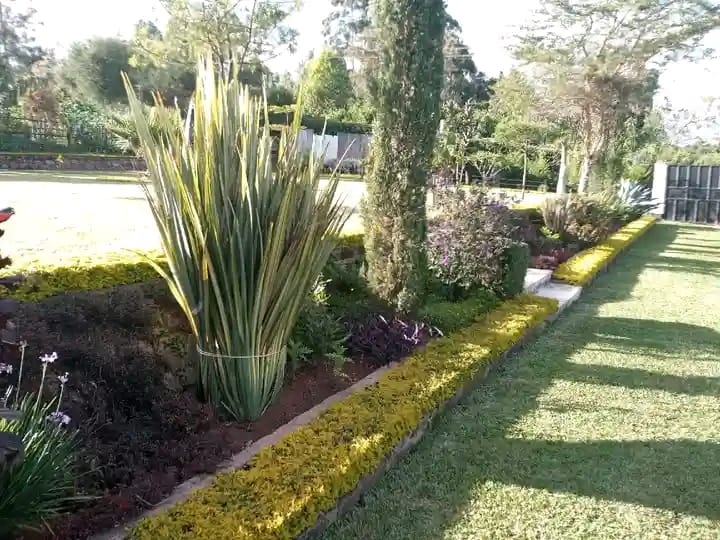 Lawn & Ornamental Gardening Services in Nairobi