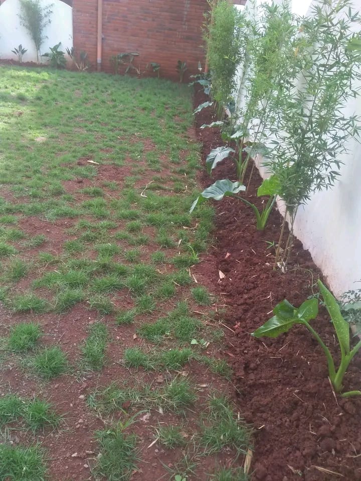 Professional Landscaping & Garden Maintenance Services in Thigiri