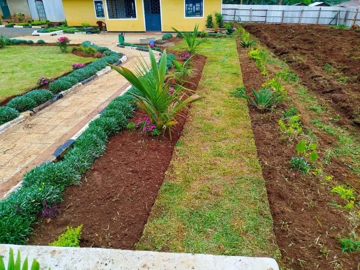 Professional Landscapers & Garden Maintenance Services in Limuru