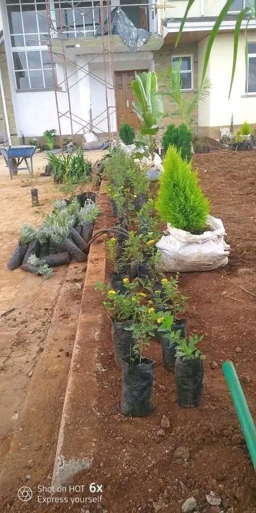 Landscaping & Garden Maintenance Services in Mutha