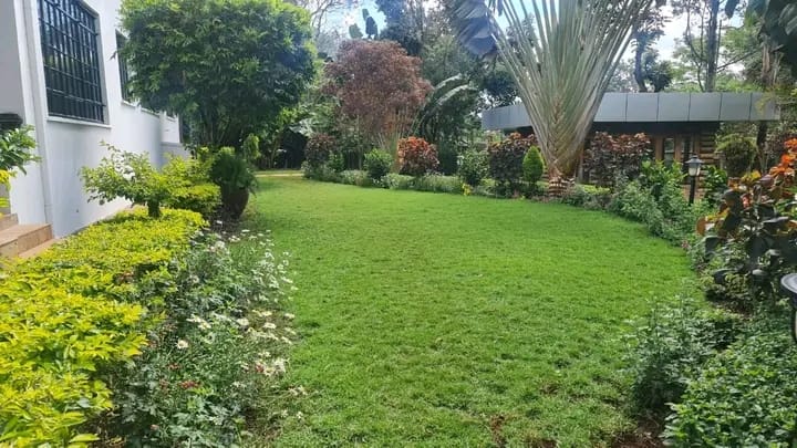 Landscaping & Garden Maintenance in Karen Plains